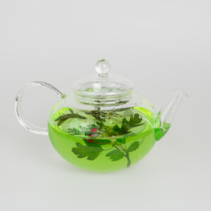 Tekanna i glas 0,45lit