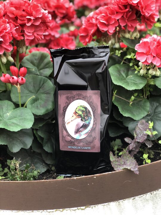 Vilka blommor gillar kaffe?
